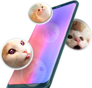 Телефон с котиками